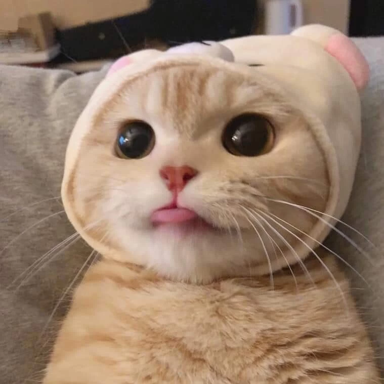 여시 - 오피삼국지